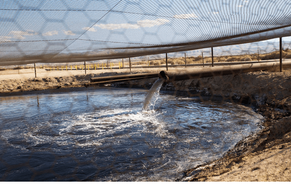 Fracking no Campo Petrolífero de Bakken é Amplamente Responsável por Aumento Global de Etano Fracking no Campo Petrolífero de Bakken é Amplamente Responsável por Aumento Global de Etano