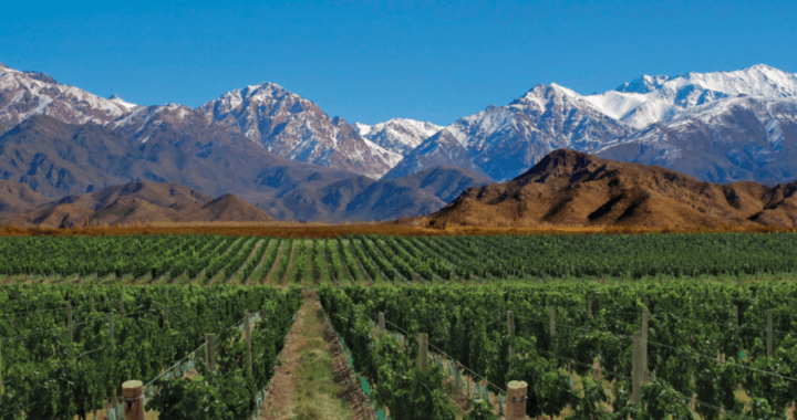 Argentina: Fracking ameaça a água e o vinho de Mendoza Argentina: Fracking ameaça a água e o vinho de Mendoza
