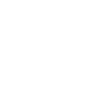 ARAYARA logo ARAYARA logo